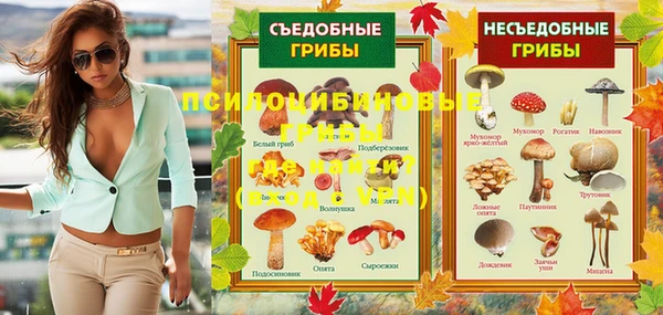 дмт Аркадак