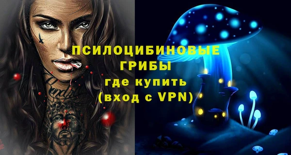 дмт Аркадак