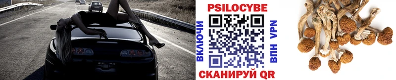 Псилоцибиновые грибы ЛСД Балашов