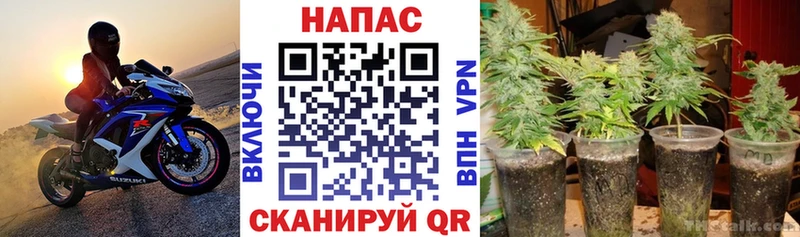 Бошки Шишки Bruce Banner Балашов
